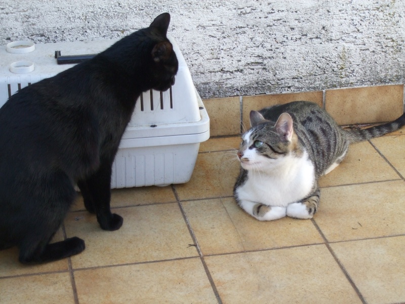 Ostern 2007 Orleshausen 070 